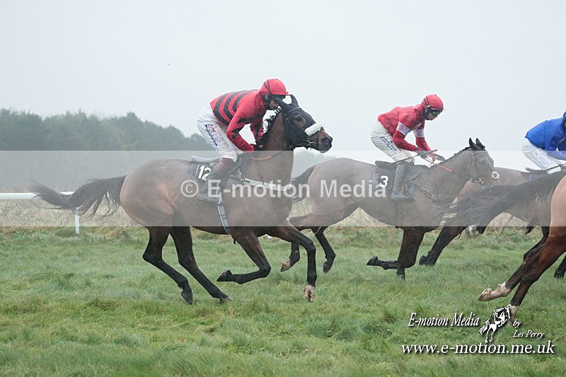 PtP 101223 493 - New Forest Hounds PtP Larkhill 10/12/23