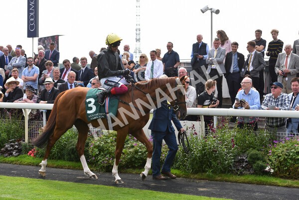 yr20082021r2-35 - Race 2 2.25pm Weatherbys Hamilton Lonsdale Cup (British Champion Series race)