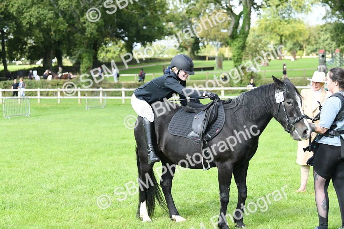 SBM_46843 - S12 - Family Horse & Pony