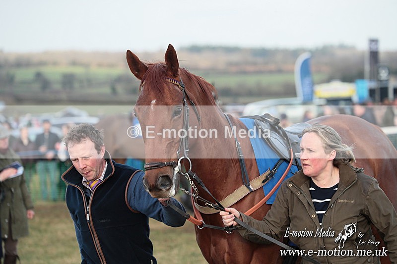 PtP 010325 684 - Beaufort Races Didmarton 01/03/25