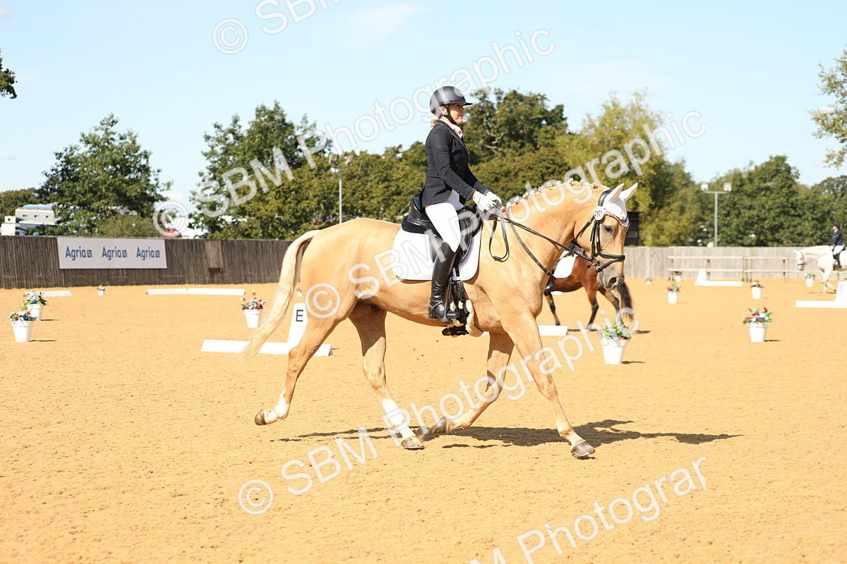 SBM_22305 - D17 - Grand Tour Championship - Novice 27