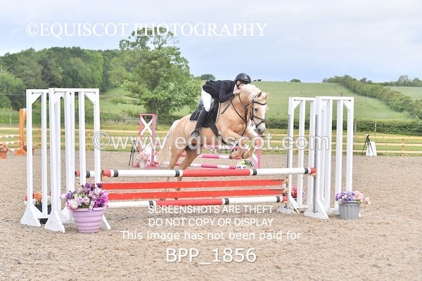 BPP_1856 - SAT CLASS 9 Club/ Unaffiliated 80cms Open