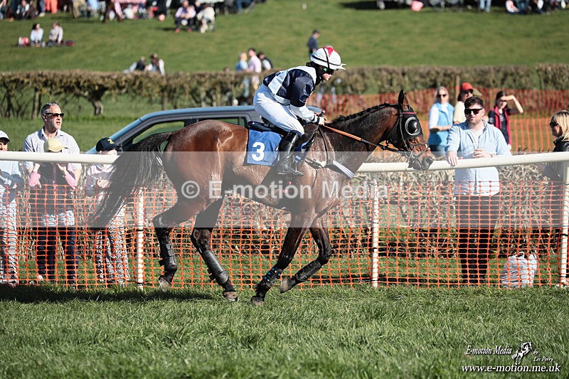 PtP 210326 647 - VWH Cirencester Races 21/03/26