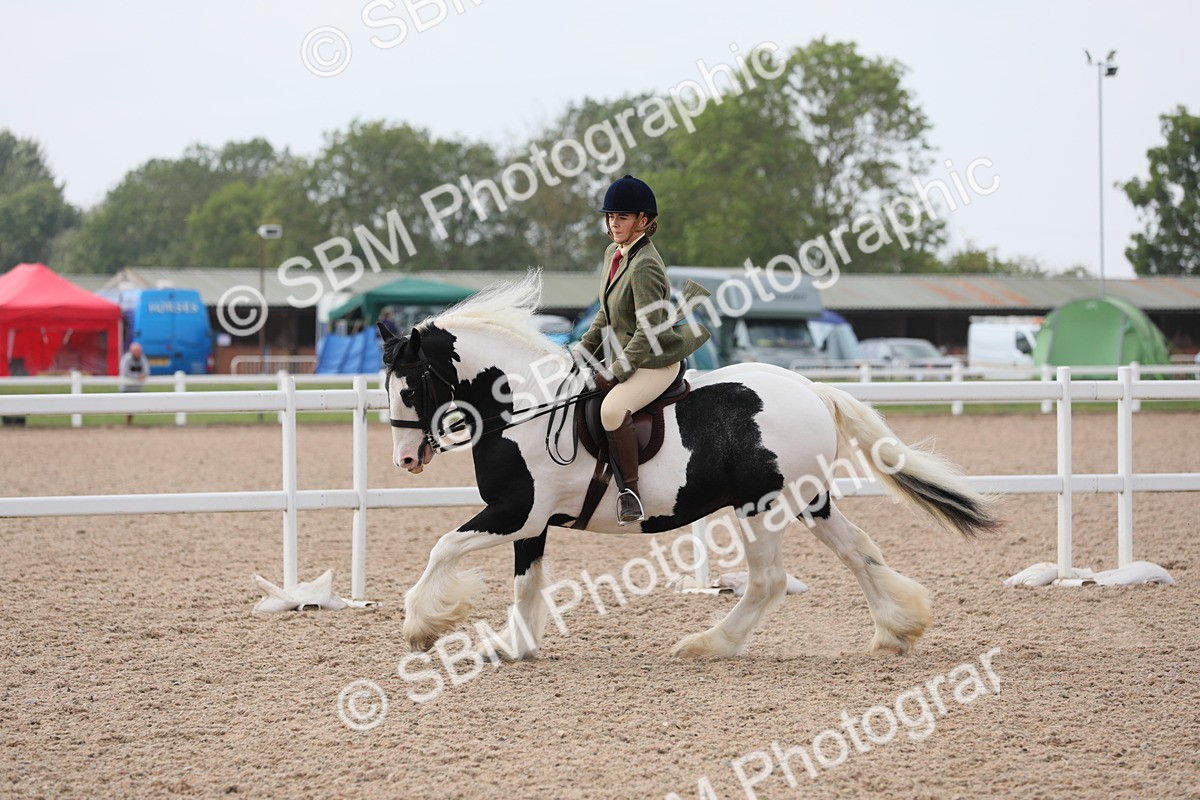SBM_12806 - Class 307 Ridden Coloured Pony