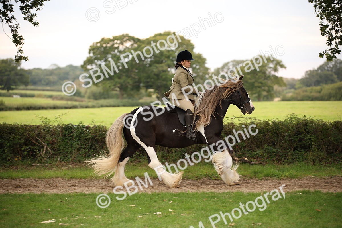 SBM_73443 - S68 - Traditional Cob Ridden