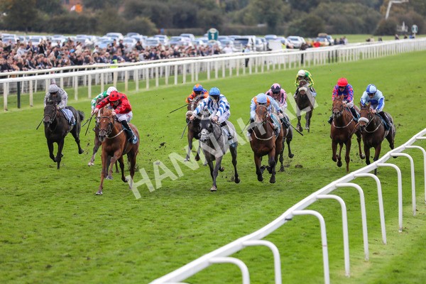 121024-Race 4-Fearless Freddy-7282 - Race 4 3.15pm Play Coral Racing-Super-Series For Free Nursery Handicap