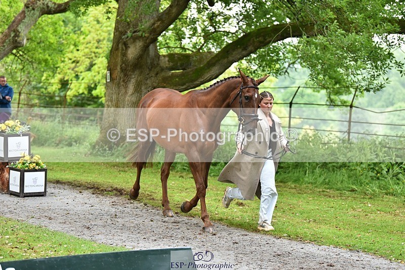 240522-172404-01576 - 279-MHF_LADY-Poppy_von_Maltzahn