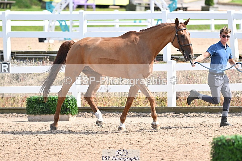 240717A-154146-02984 - Trot Up 3pm to 4pm