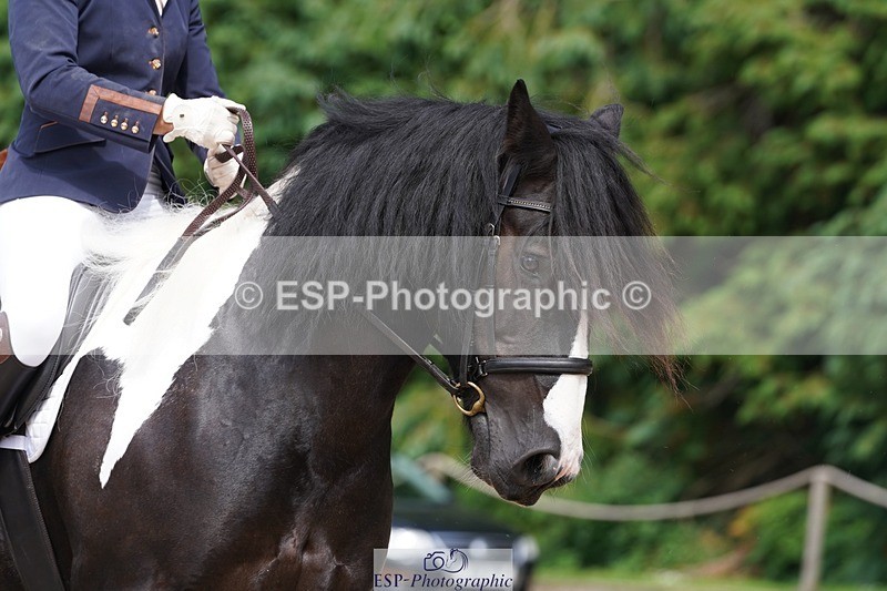 240721-144846-09845 - 320-Louise_Pearce-Wellshead_Duke