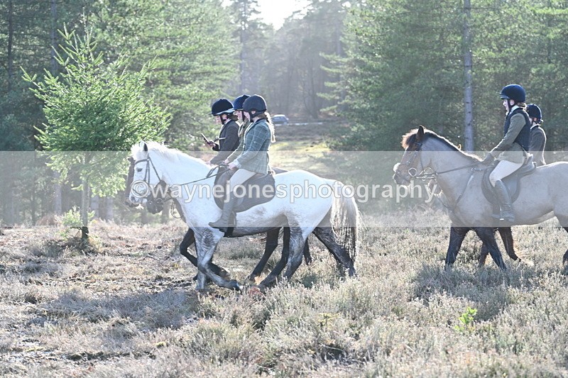 WJ7_7244 - Line 3 (no line 4 or 5)