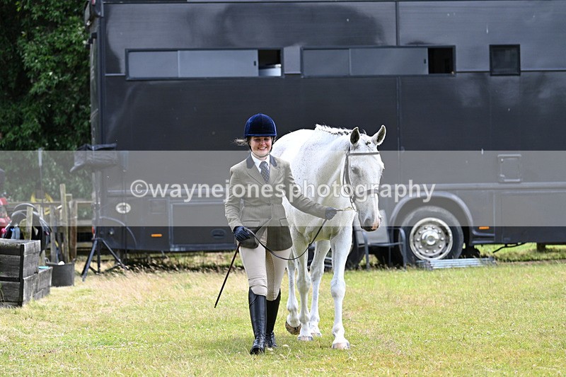 WJ7_6852 - Class 5a Most Handsome Gelding in Hand