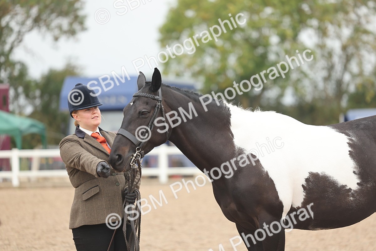 SBM_19855 - Class 318 - IH Part Bred Horse-Pony