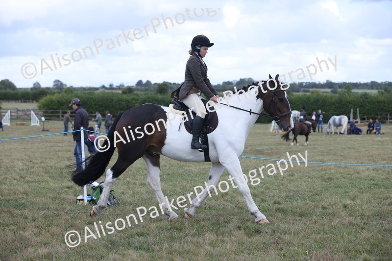 20250831-4229 - Class 20 - Ridden Coloured