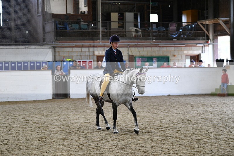 WJ5_7742 - Class 13 Ridden Part Breed