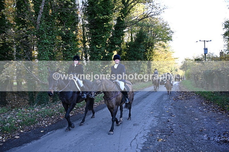 WJ6_9736 - Walk Home