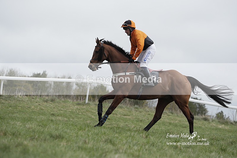 PtP 260323 0667 - New Forest Hounds Point-to-Point Larkhill 26/03/23