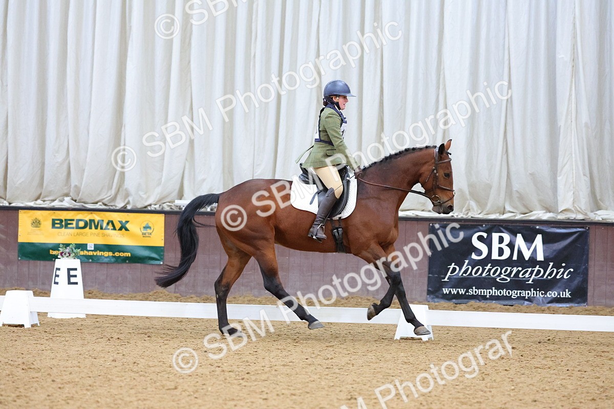 SBM_004256 - Intermediate