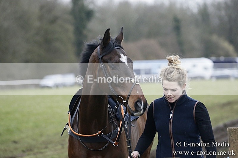 PtP 110318 203 - Hampshire Hunt Point-to-Point Hackwood Park 11/03/18