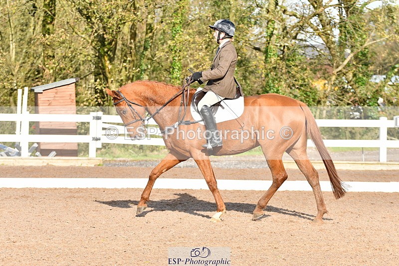 231104A-121343-00393 - Cls 7 Elementary 43