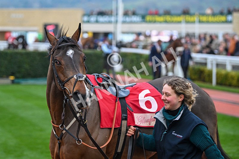 151124-Race 4-Paddock-Statuario-8038 - Race 4