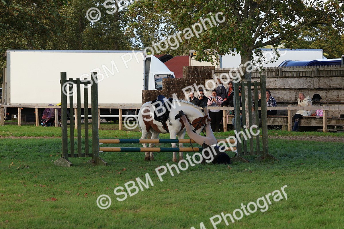 SBM_52575 - S13 - Pony Club Pony