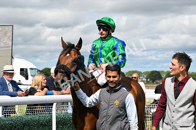 040726-Race 3-Emerald Bay-3995 - Race 3 15.24pm George Kilburn Memorial Nursery Handicap