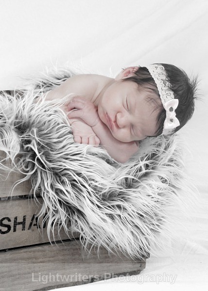 Buckle 38 - Baby Harper