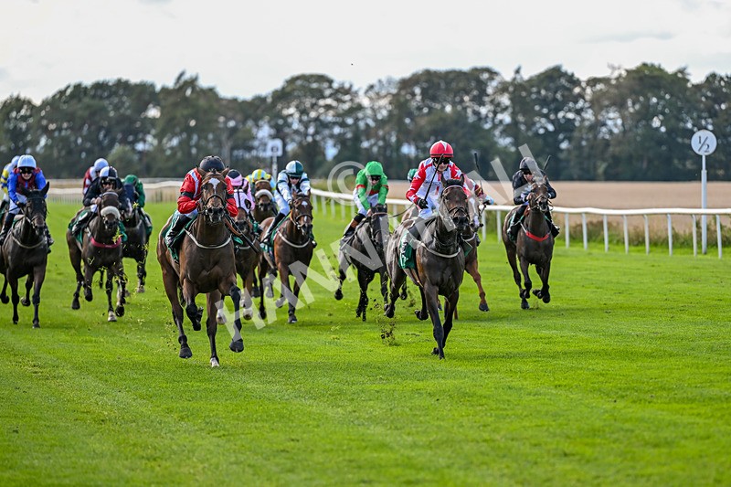 140926-Race 2-Bladey Lady-6797 - Race 2 2.51pm Patrick Hibbert-Foy Memorial Nursery Handicap