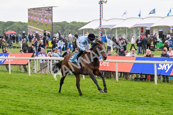 150525-Merchant-5329 - Race 7 5.25pm Haxby Handicap