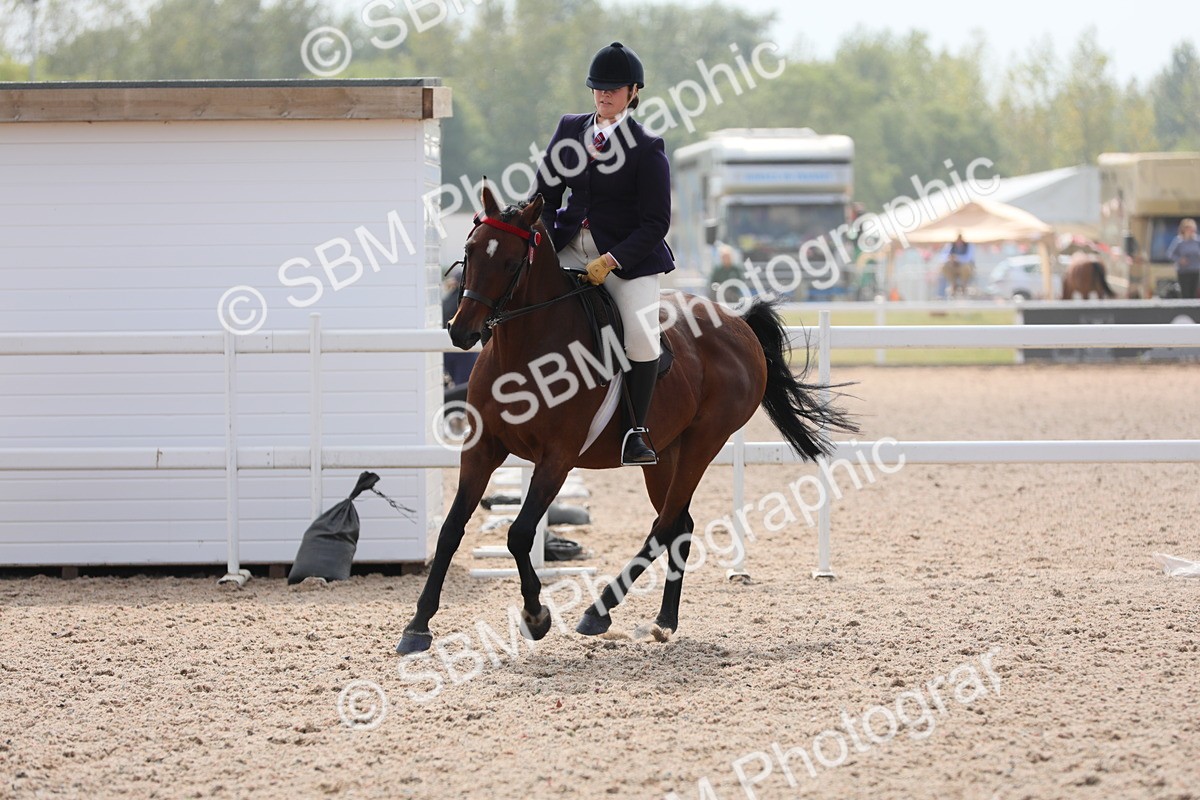 SBM_15607 - Class 311 Ridden Show Pony/ Show Hunter Pony