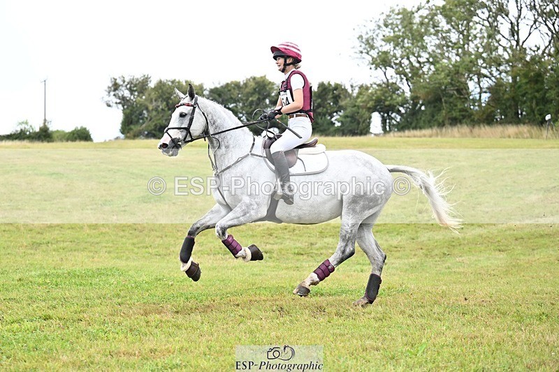 TS_b3365120 - SAT BE 90 Recovered Files fence 8