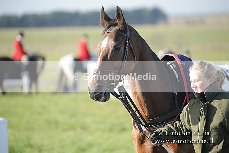 PtP 011219-0039 - Hursley Hambledon Hunt Point-to-Point 01/12/19