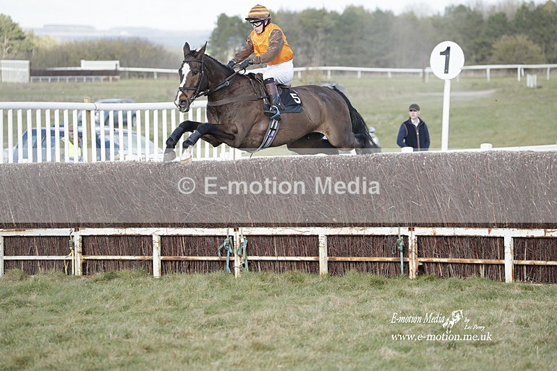 PtP 260223 965 - South & West Wilts Point-to-Point Larkhill 26/02/23
