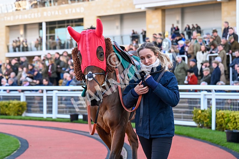 141224-Race 4-Il Ridoto-0636 - Race 4