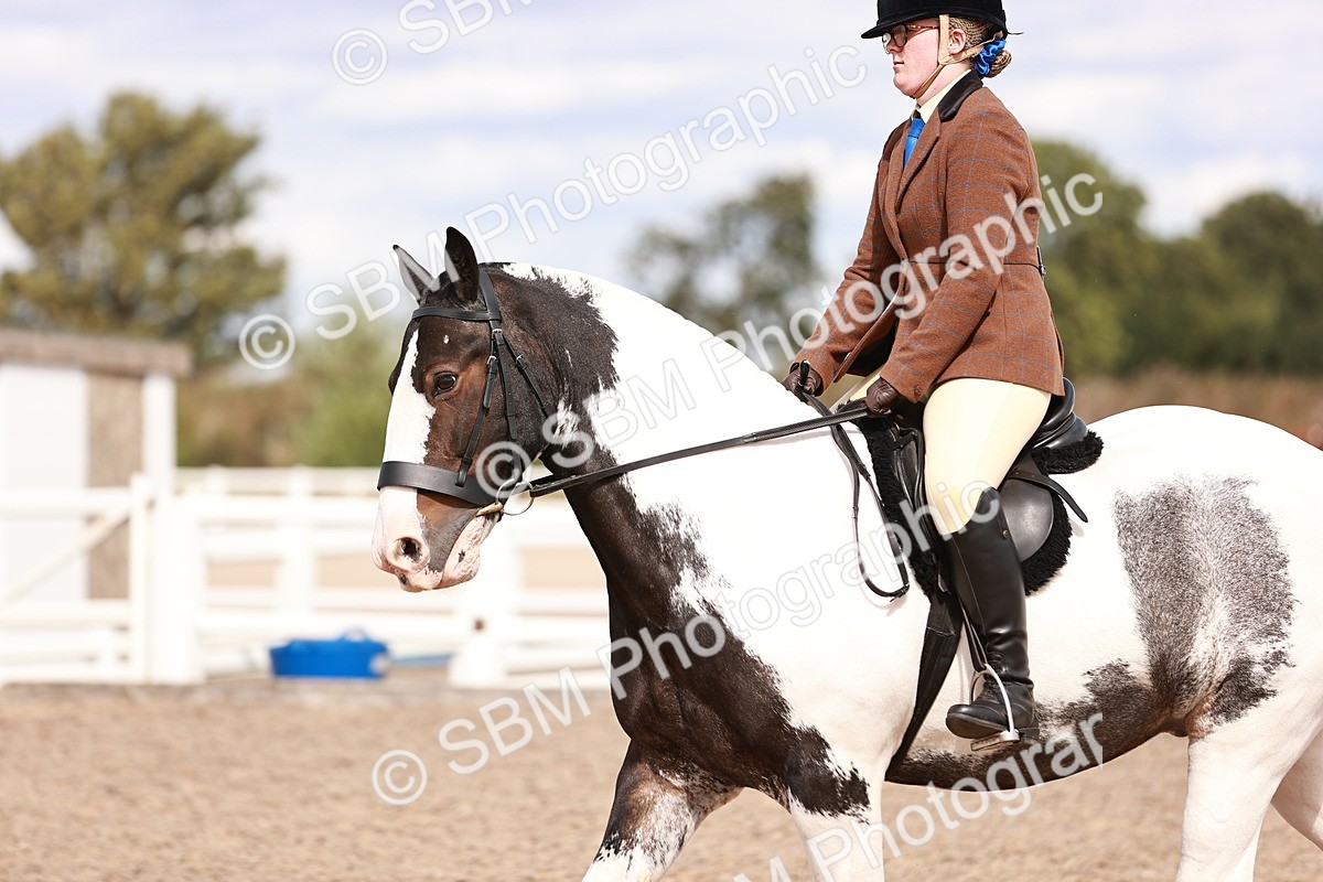 SBM_14480 - Class 410 - Grassroots Ridden - Horse