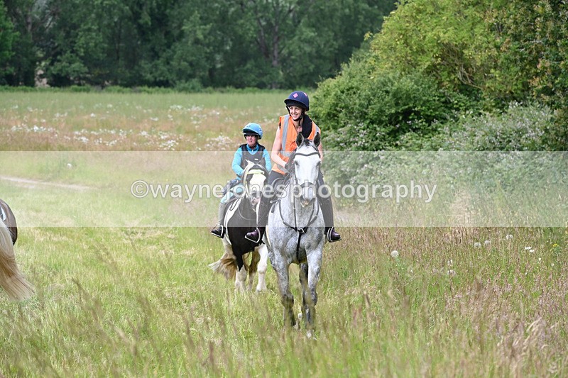 WJ6_8099 - Camera 1 Gallops
