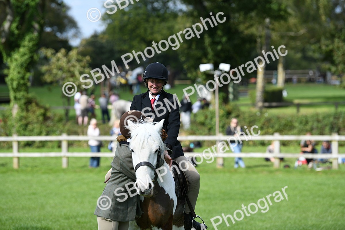 SBM_47041 - S12 - Family Horse & Pony