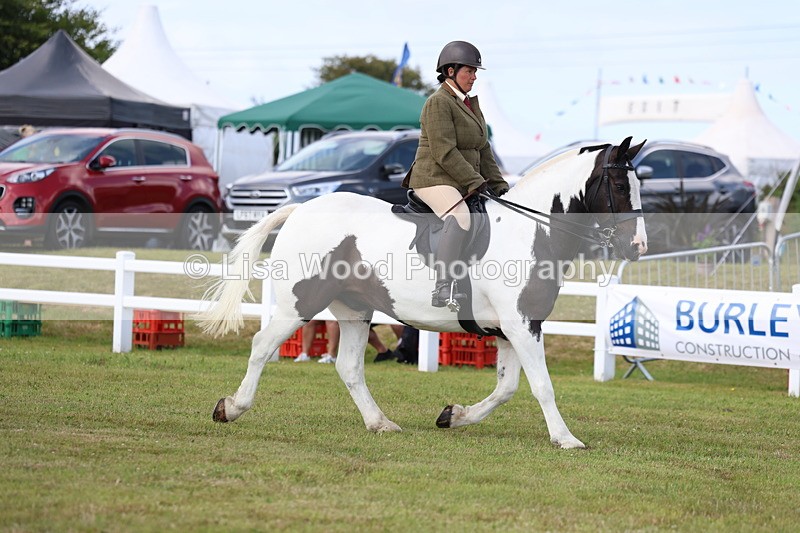 3E7A9653 - Class 5: Rising Star Lightweight/Heavyweight Cobs