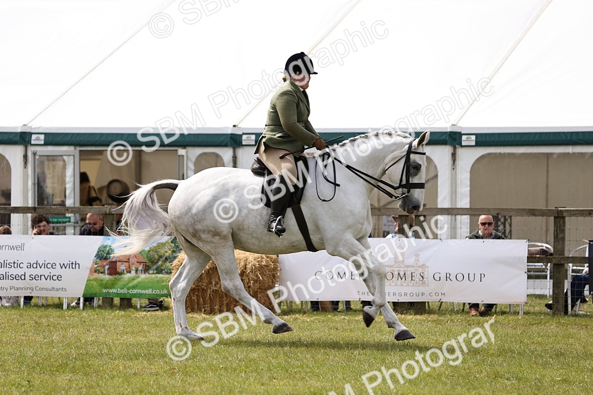 SBM_14709 - Class 88-89 - LIHS BSHA Rising Star of Ridden Hunter Type