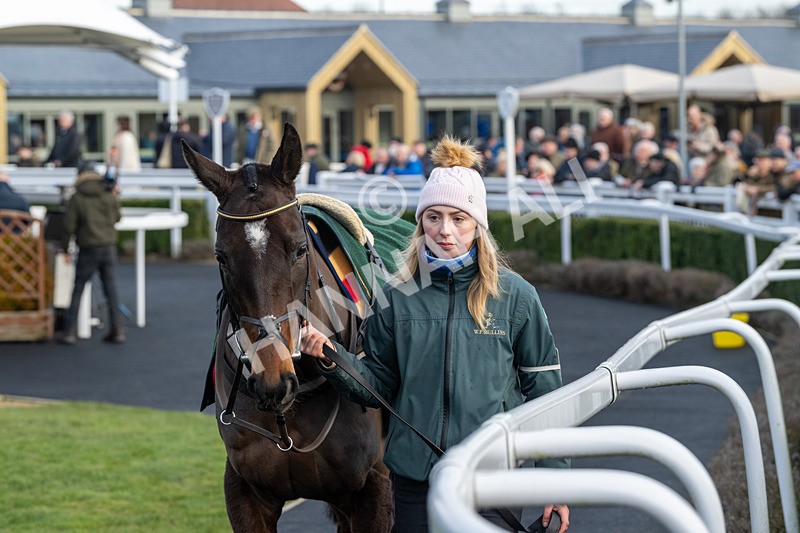 220125-Race 2-Jarrive De Mee-2809 - Race 2
