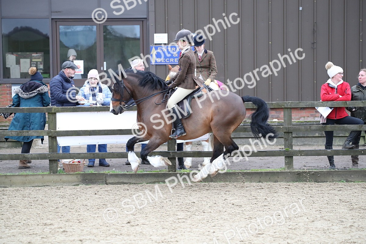 SBM_007104 - Class 10-13 - RIHS Small Large Breeds
