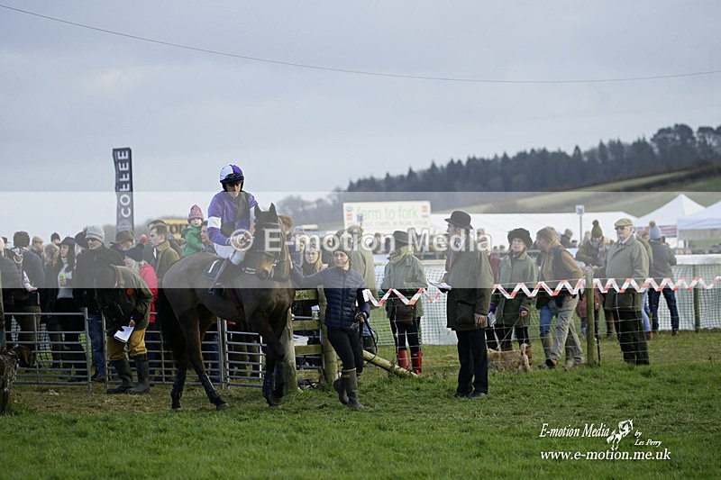 PtP 300122 606 - South Dorset Hunt - Point-to-Point Races 30/01/2022