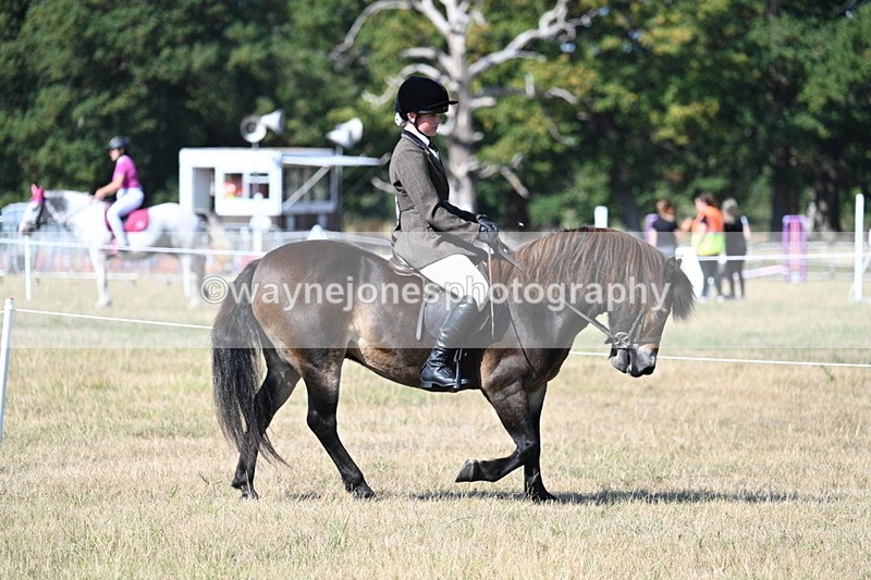 WJ7_3441 - Class 9 Mountain & Moorland Ridden