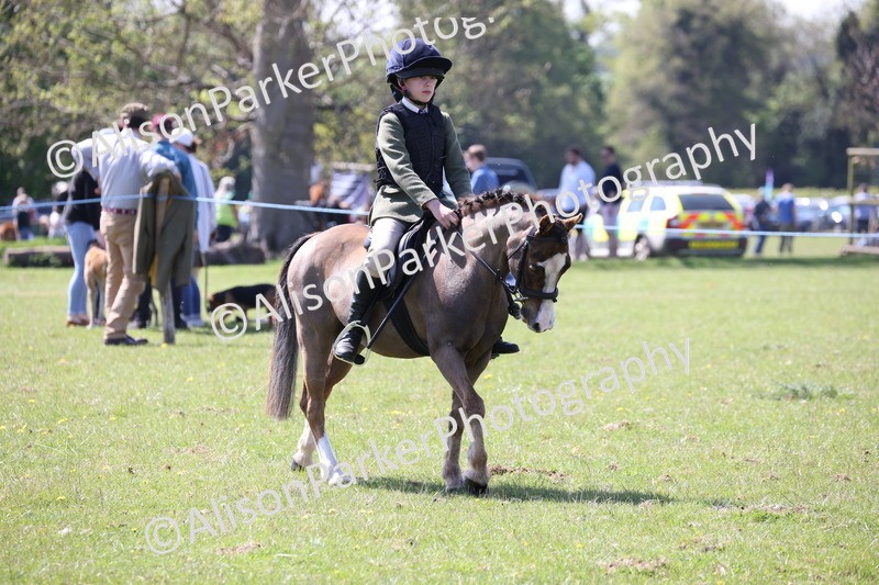 20250427-3294 - Class 33 - Best Pony 14.2hh and Under