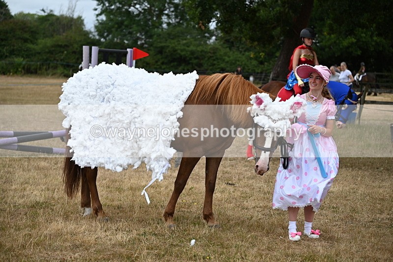WJ6_8753 - Class 11 Fancy Dress