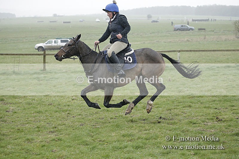 PtP 150320 0073 - New Forest Point-to-Point Larkhill 15/03/20