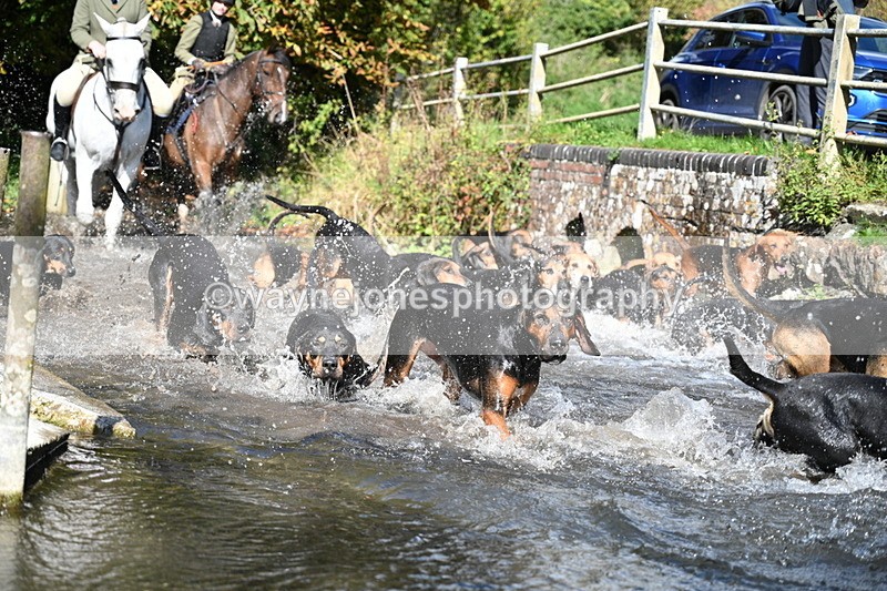 WJ7_5979 - Hounds Water Crossing