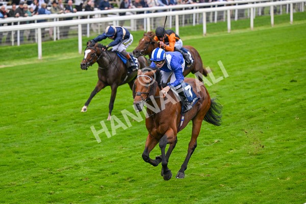 101025-Race 3-Mukhtalif-6425 - Race 3 William Hill Each Way Extra Handicap at York