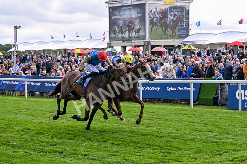 210826-Race 5-Plage De Havre-6770 - Race 5 16.10pm Assured Data Protection Handicap