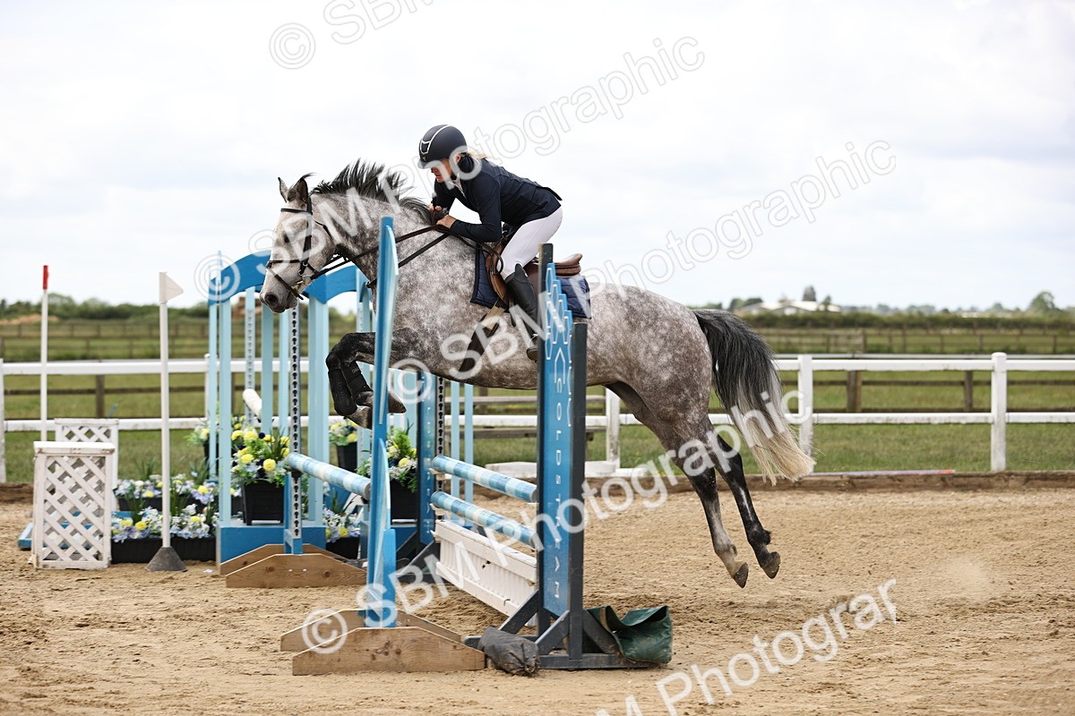 SBM_007193 - Class 2 - 80cm showjumping